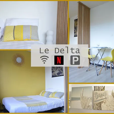 Apartment Le Delta - Centre Chu - Parking Prive - Netflix