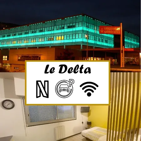 Le Delta - Centre Chu - Parking Prive - Netflix
